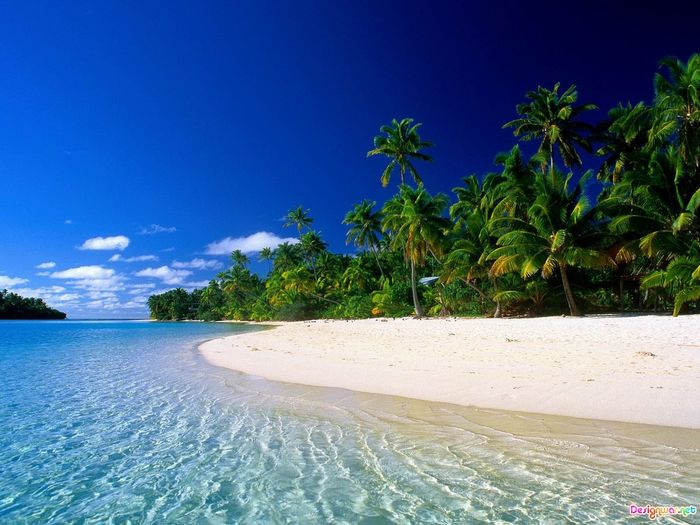 Beautiful_tropical_beach-14711
