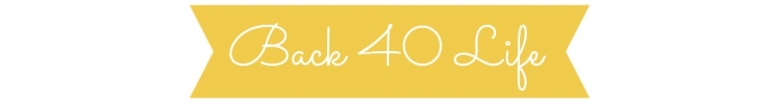 40